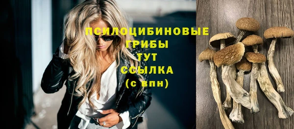 мяу мяу мука Абинск