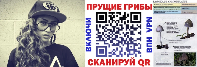Псилоцибиновые грибы Magic Shrooms Абинск